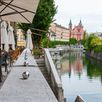 Ljubljana ontdekken